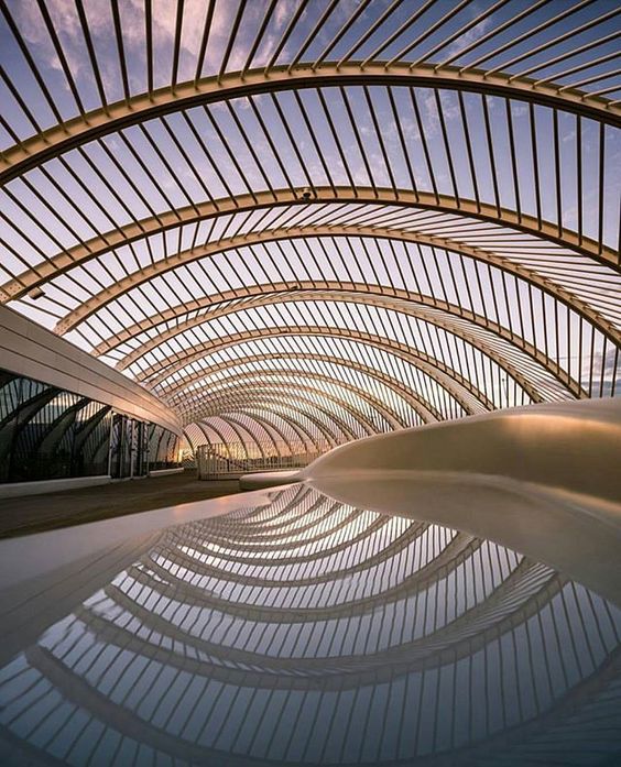 ¿Cuándo la arquitectura se convierte en arte?