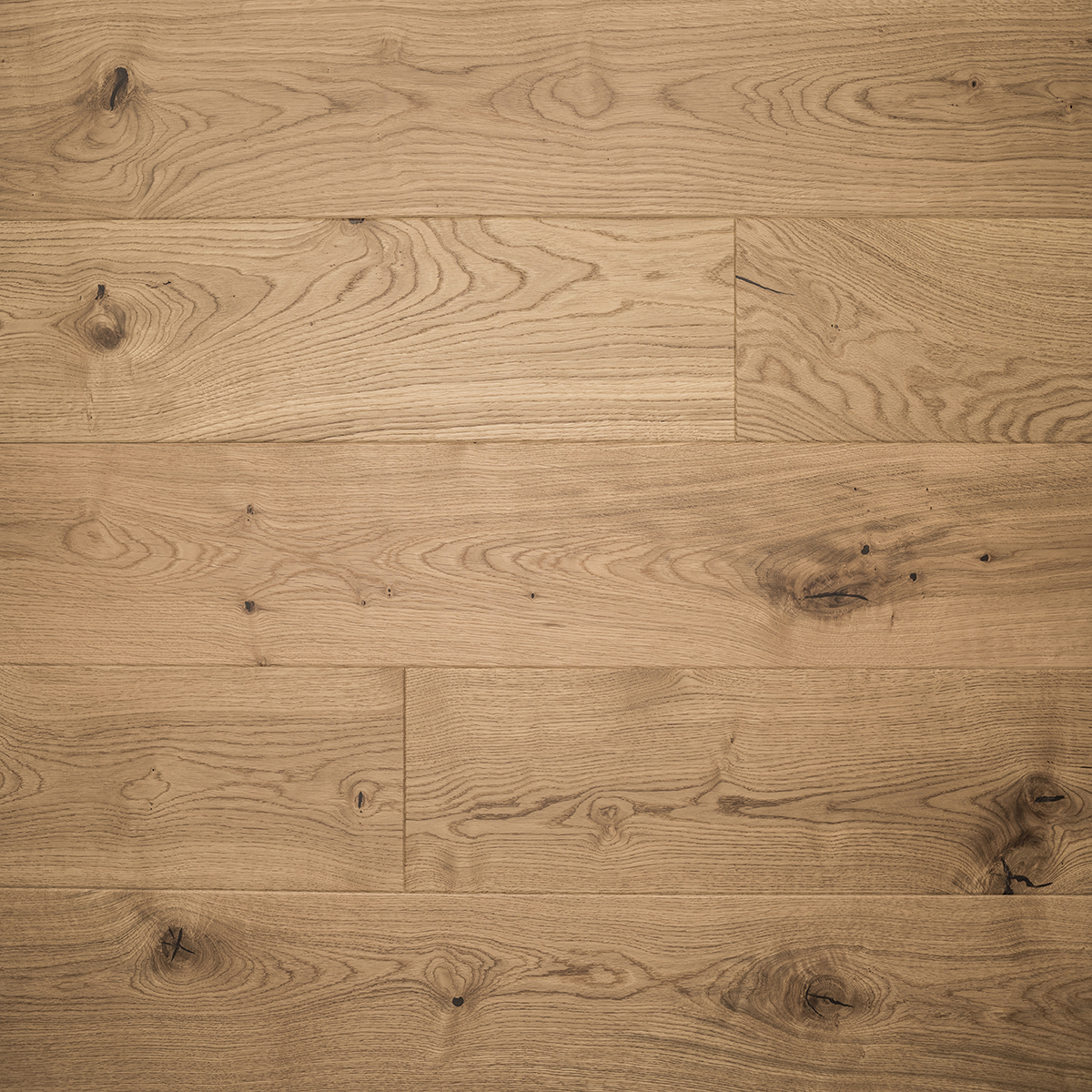 Viena Oak