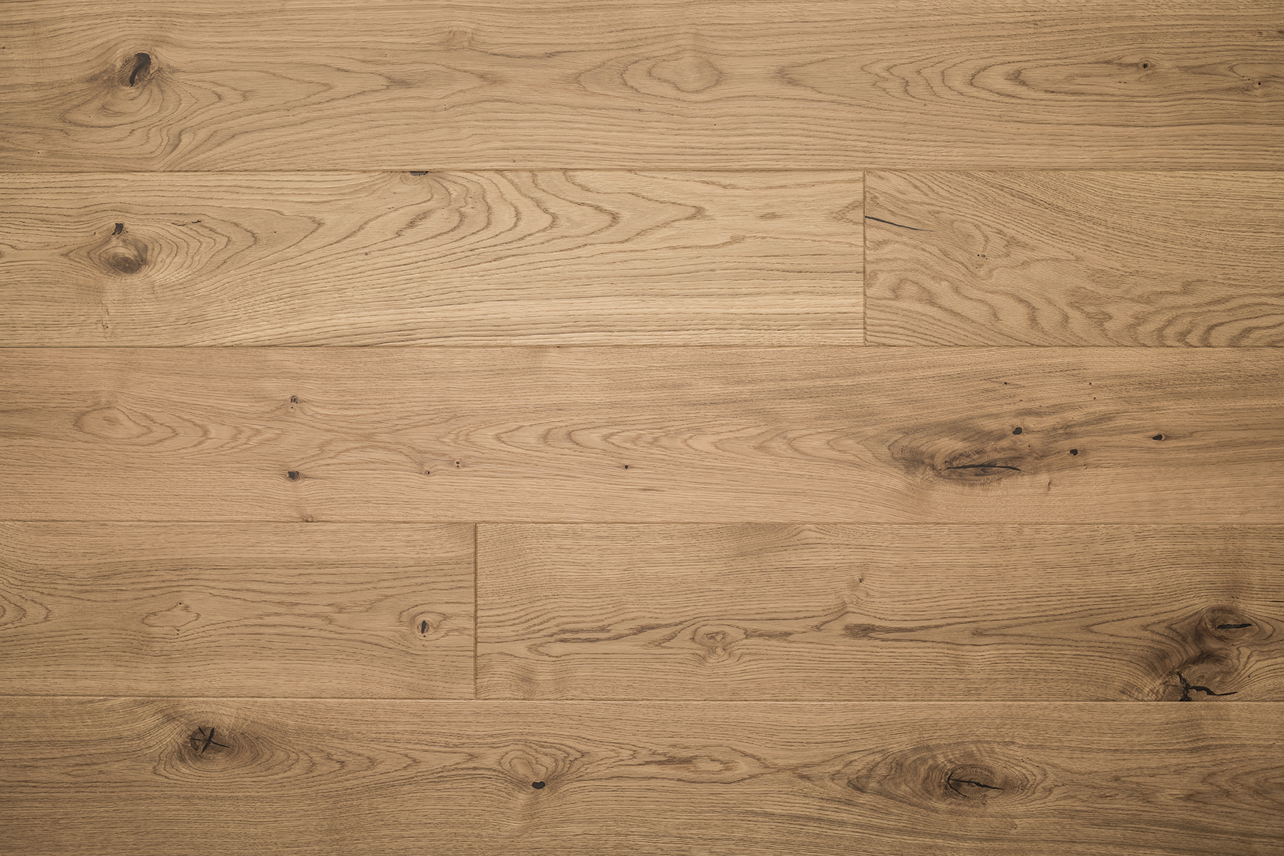 Viena Oak - Image 2