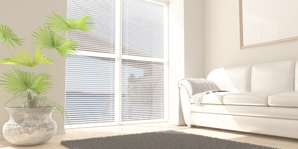 Decoración con plantas